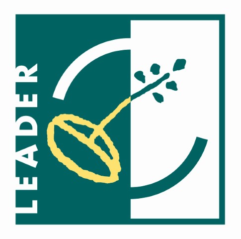 logo LEADER Petit